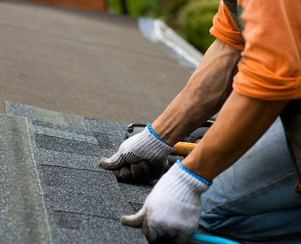 Best Metal Roofing Contractor  in Weston, OH